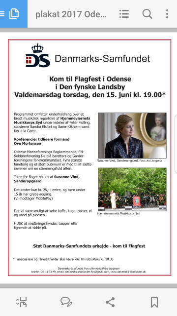 Flagfest i Odense